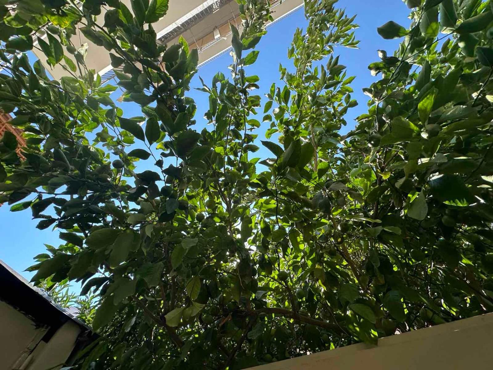 Green Spot Apartments Athens Ngoại thất bức ảnh